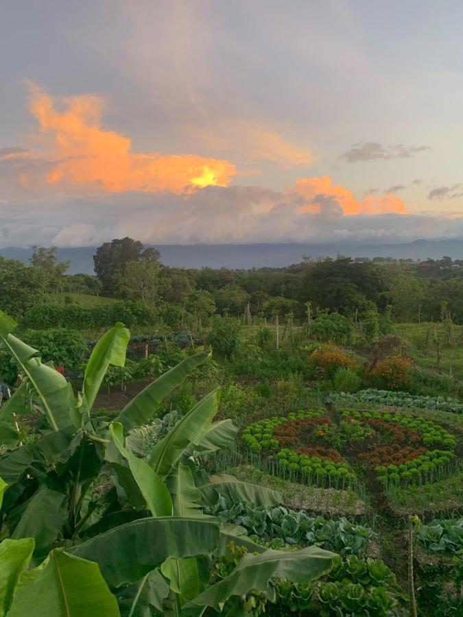 Hotel Glamping Campo Alegre Cartago Esterno foto